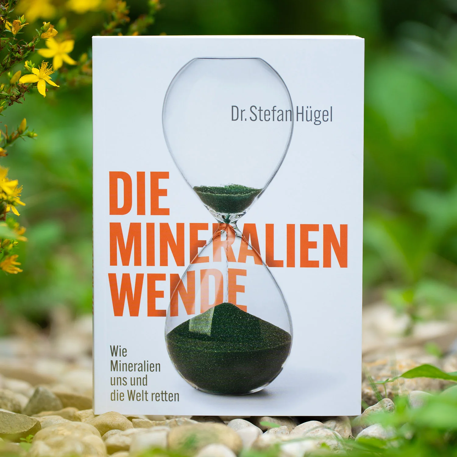 Vorschaubild 1