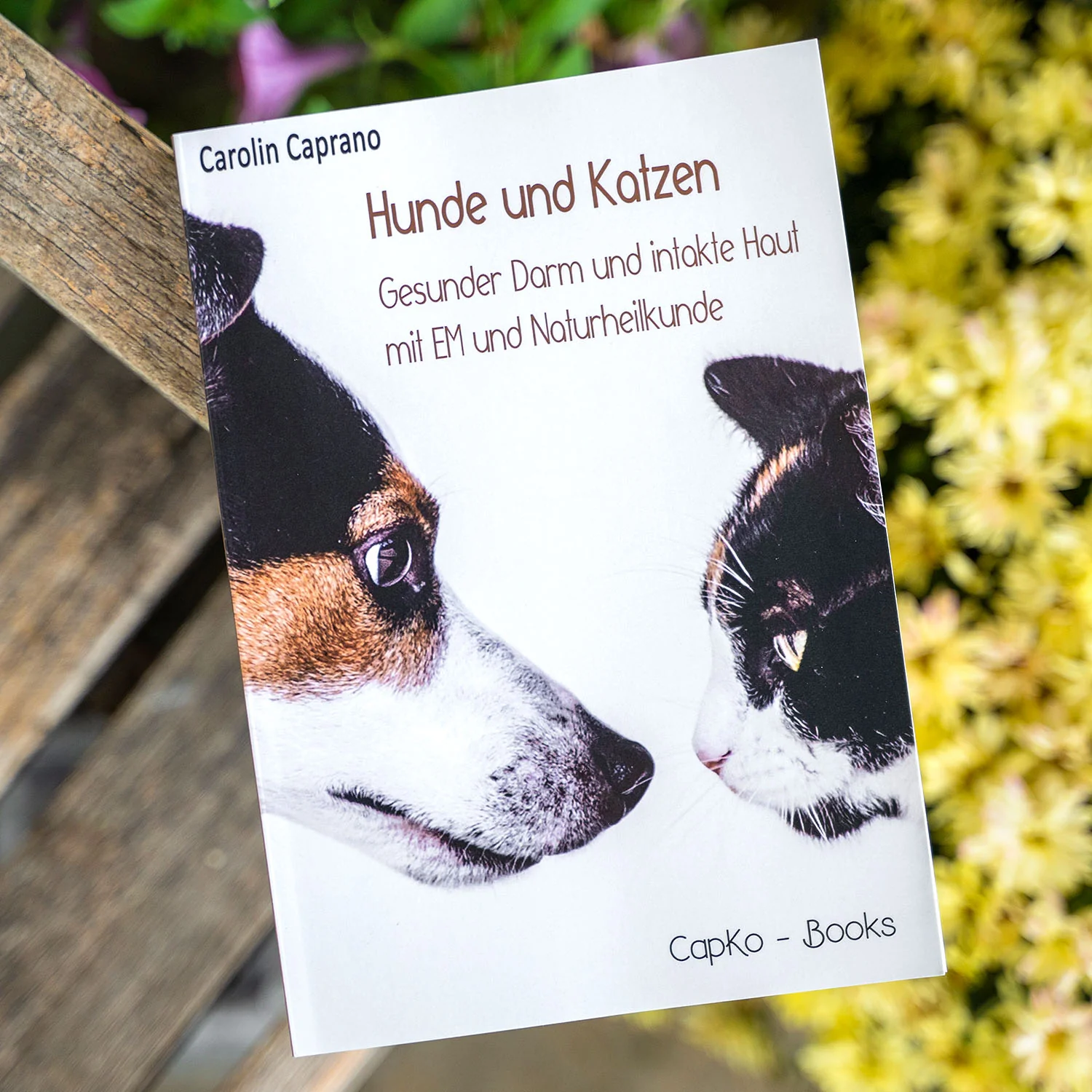 Vorschaubild 1
